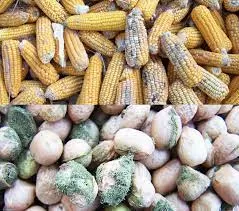 images 1 images 1 "Aflatox Premix para Aves - Proteja Sua Criação com Este Aditivo Eficaz Contra Aflatoxinas!"